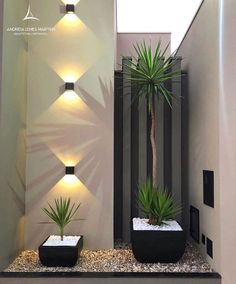 two plants in black planters next to a wall with lights on it and gravel below