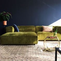 a living room filled with furniture and a large green couch next to a plant on top of a rug