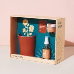 Shine Bright- Radiant Positivity Kit Modern Sprout Home - Garden - Plant & Herb Growing Kits Bamboo Planter, Sunflower Gifts, Grow Kit, Hydroponics System, Plastic Trays, Garden Kits, Face Mist, Plastic Pots, Plant Food