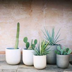 three potted plants sitting next to each other in front of a pink stucco wall