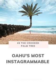 a palm tree on the beach with text that reads 8 the crooked palm tree oahuu's most instagramable