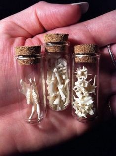 three glass jars filled with tiny white objects