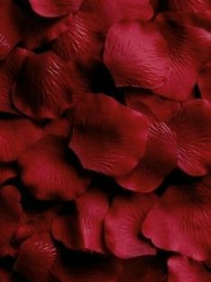 red petals are scattered on top of each other in this close up photo, which shows the texture of the petals