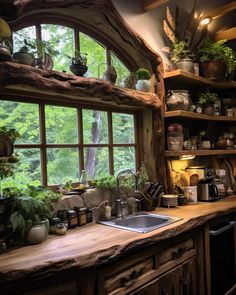 a kitchen filled with lots of potted plants