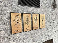 three wooden plaques mounted to the side of a brick wall with herbs drawn on them