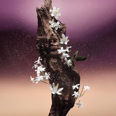 a rock with flowers growing out of it and stars in the sky behind it on a pink background