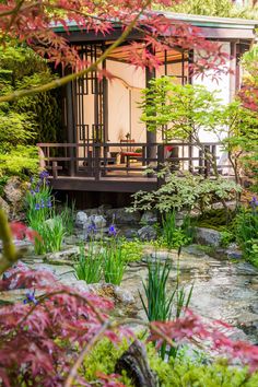 a japanese garden with water and plants