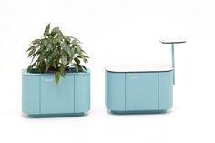 two blue planters sitting next to each other on top of a white table with a potted plant in it