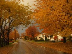 an autumn scene with houses and trees in the foreground, on a rainy day