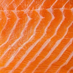 an orange fish fillet is shown close up