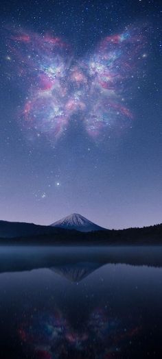 The Night Sky, Iphone Wallpapers, Night Sky, The Sky, Hd Wallpaper, Iphone Wallpaper, Wallpapers, Iphone, Stars