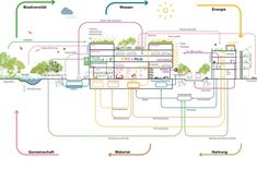 a diagram showing the different types of trees and how they are connected to each other