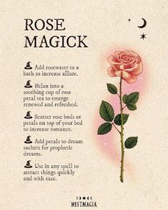 Properties of Herbs | Ritual Magic Spells Magical Properties Of Herbs, Santeria Spells, Plant Magick, Magick Herbs, Magickal Correspondences, Spells Witchcraft Money, Witchcraft Money, Love Spells Witchcraft