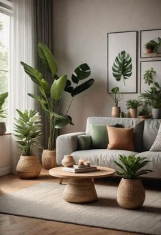 a living room filled with lots of potted plants next to a couch and coffee table