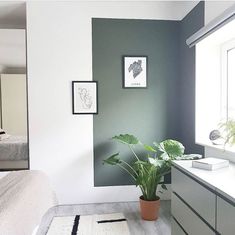 a bedroom with a bed, dresser and plant in the corner on the floor next to it