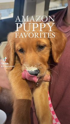 Amazon Puppy Finds. Amazon Puppy Favorite Essentials. Puppy Gadgets. Preparing For New Puppy, Puppy Essentials Amazon, Things You Need For A Puppy, Golden Retriever Essentials, First Puppy Essentials, Puppy Supplies List, Amazon Pet Finds, Puppy Gadgets, Amazon Dog Finds