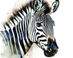 a close up of a zebra's face with watercolors on the background