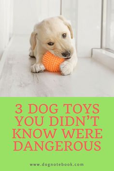 a dog chewing on an orange toy with the words, 3 dog toys you didn't know were dangerous