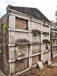 an old building with some plants growing out of it