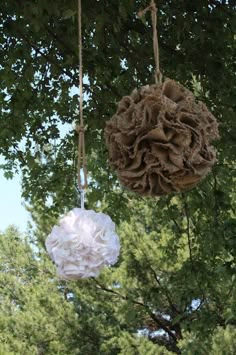 two balls of yarn hanging from a tree with trees in the background and one being suspended by ropes