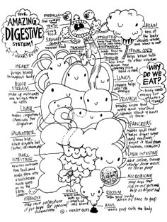 a black and white drawing with words about different types of digestive things on it