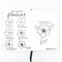 an open notebook with flowers drawn on it