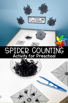 spider counting activity for preschool and homeschool