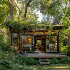 a small house in the middle of some trees and grass with plants growing on it