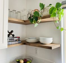 the shelves in this kitchen are filled with bowls and plates, books, and plants