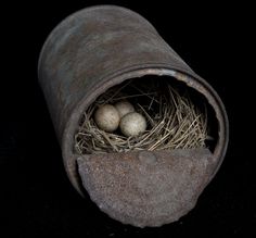 three eggs are in the nest of an old pipe