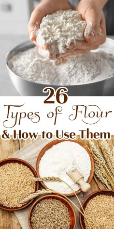 A collage of images with different types of flour for baking. Different Types Of Flour, Diy Flour, Flour Milling, Gluten Free Flours, How To Make Flour, Restless Chipotle, Wheat Recipes