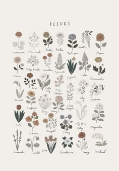 an illustrated poster with flowers in different colors and sizes, including the words fleurks