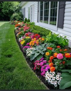 a row of colorful flowers in front of a white house with black shutters on the windowsill