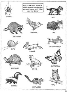 the animals and their names are shown in black and white, as well as an image of