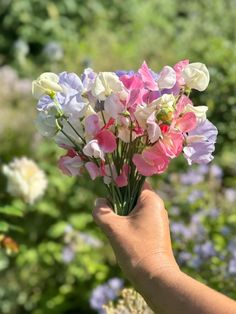 a hand holding a bouquet of flowers in front of many other flowers and plants behind it