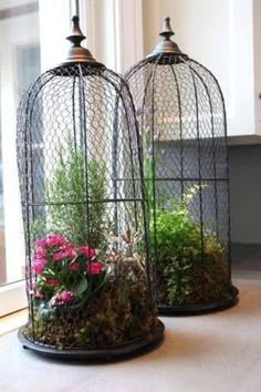 two bird cages with plants in them sitting on a counter