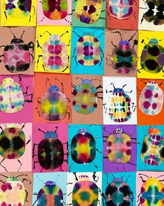 many different types of bugs are shown on colorful paper with black dots and white spots