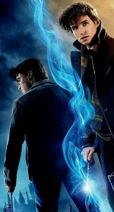 harry potter and hermione's hogwarts poster from the movie fantastic beasts