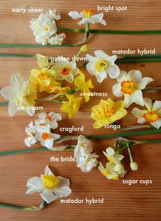 flowers that are labeled in different languages on a wooden surface with the words daffodils written below them