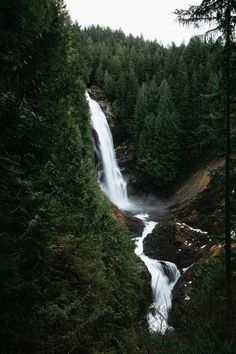 a waterfall in the middle of a forest