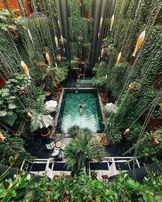 an aerial view of a pool surrounded by greenery and hanging plants in a building