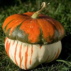 an orange and white striped pumpkin sitting on the grass