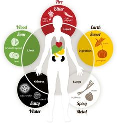 Element Chart, Yin En Yang, Poor Digestion