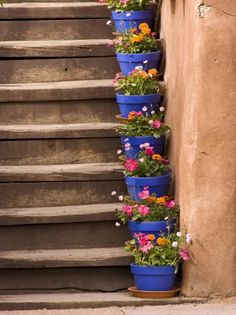 several blue flower pots on the side of a set of steps with flowers growing in them