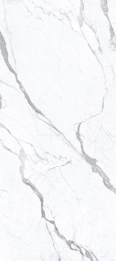 a white marble textured surface with black lines