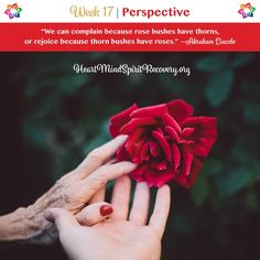 two hands holding a red rose with the words, we can explain because rose bushes have them