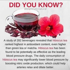 Healthy Herbs, Healthy Food Facts, Natural Healing Remedies, Herbal Healing, Home Health Remedies, Herbs For Health, Hibiscus Tea, Herbal Teas