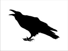 a black crow silhouetted against a white background