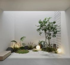 a white room with plants and rocks on the floor in front of a wall that is lit up by lights