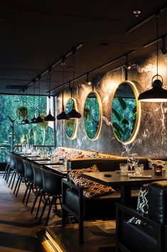 an empty restaurant with tables and chairs in front of large windows that look out onto the jungle